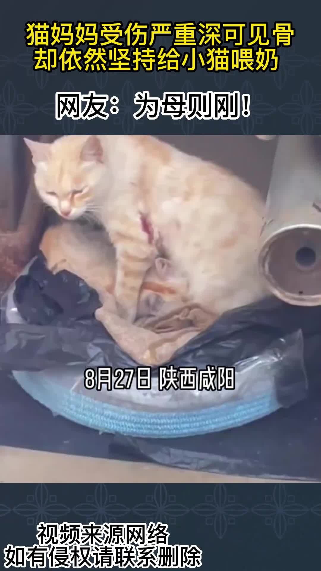 第2104页