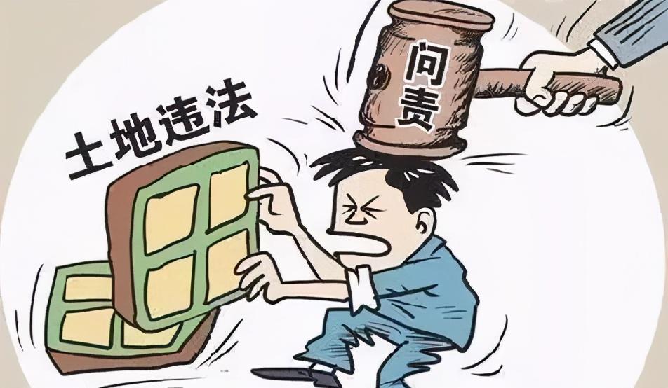 代表建议孩子违法家长须赔偿被害人多少钱