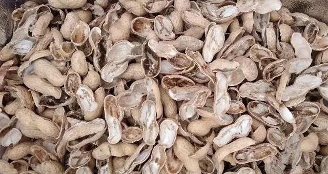 花生壳子的奇妙用处，探索其多元价值与应用