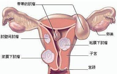 游戏专题 第5页