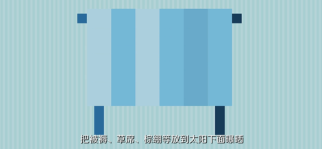床上滋生的小虫子图片床上滋生的小虫子图片及其相关问题解析