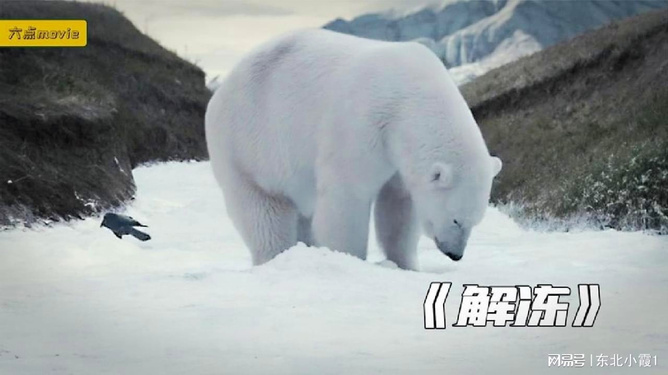 第1259页