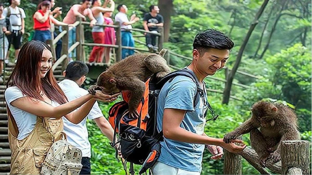 群殴伤人
