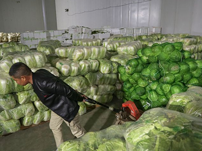 蔬菜出口日本蔬菜出口日本是一个涉及多个环节的复杂过程，包括生产、质量控制、物流、贸易法规和市场调研等方面。以下是一些关于蔬菜出口日本的基本信息和建议