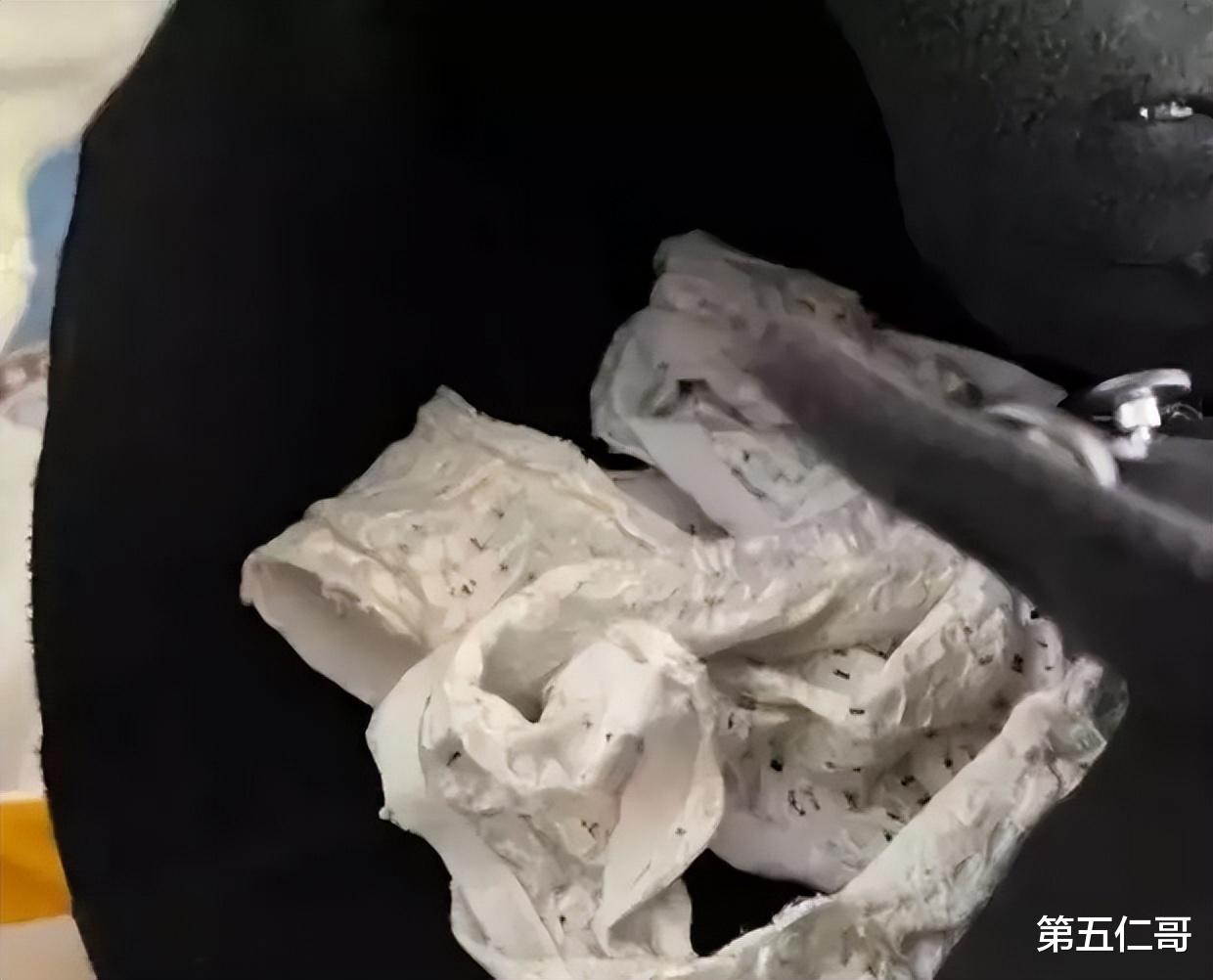 奈何桥上望谁回眸 第6页