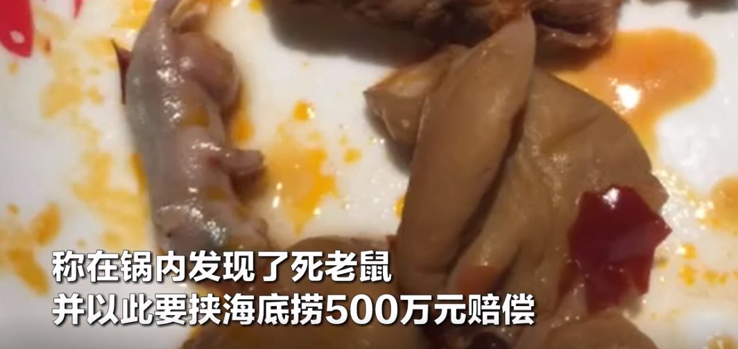 追逐梦想的旅程  _1 第5页