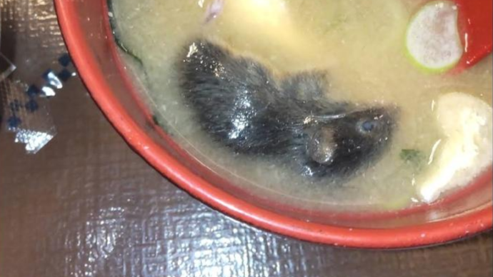 胭染苍白颜。 第4页