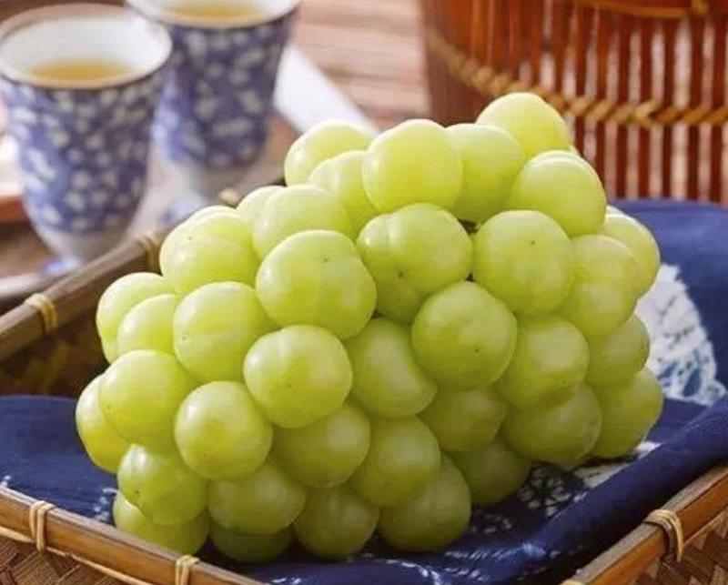 残梦灬留香 第5页