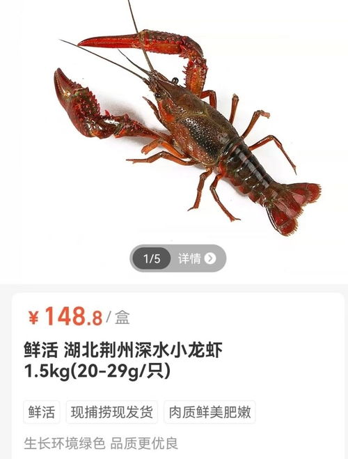 追逐梦想的旅程  _1 第4页