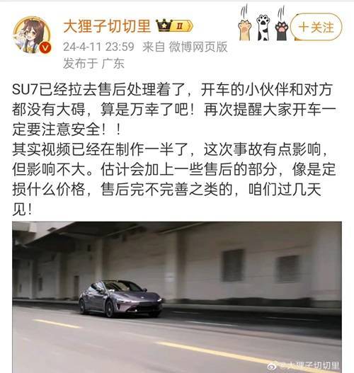梦中的花瓣   第4页