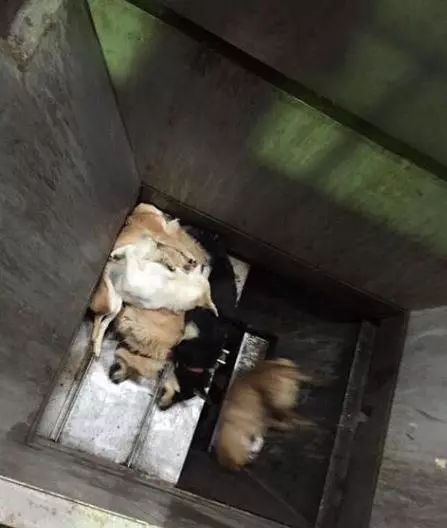 阳光下的影子   第5页