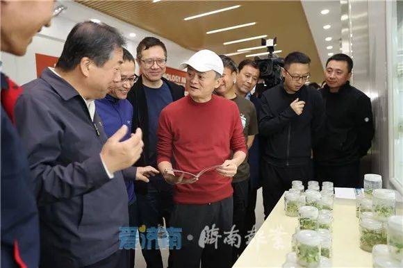 马云视察新办公区