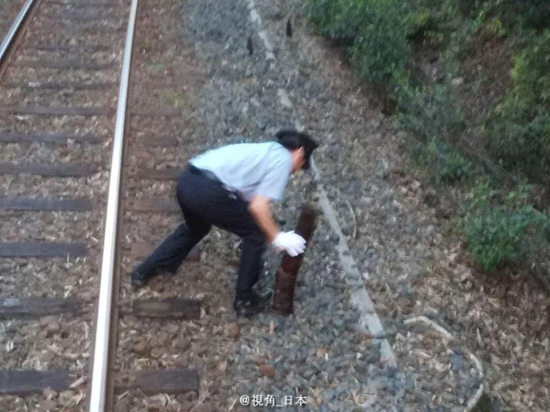 轻舞飞扬   第4页