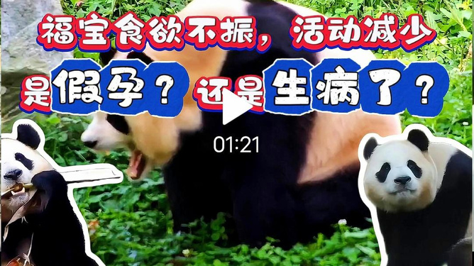 2025年4月25日 第15页