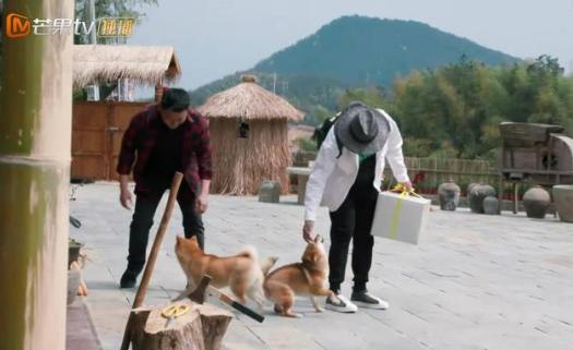 时光的旅者  _1 第2页