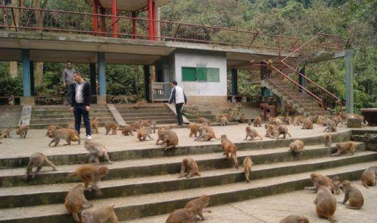 景区回应灵隐寺小卖部年租金260万