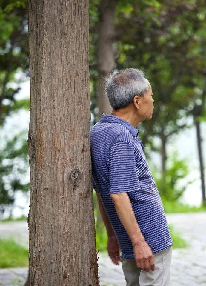 每天撞树能治颈椎腰椎病吗