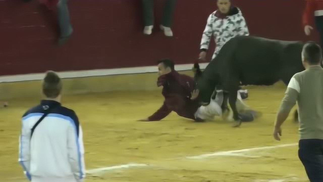 斗牛比赛现场冲突致人死亡？不实