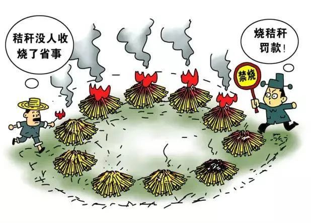 河南洛阳两地因焚烧秸秆被扣罚财力，反思与启示