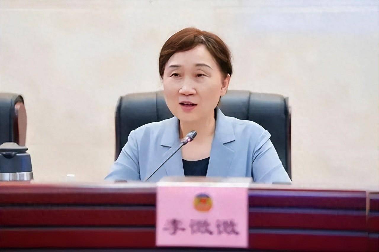 贪腐近二十年，李微微被公诉的背后