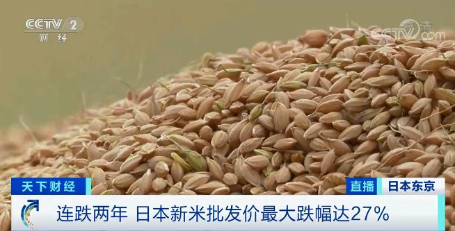 日本米价，市场走势与影响因素分析