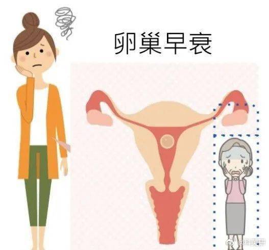 未孕卵巢早衰，探寻真相与应对之道