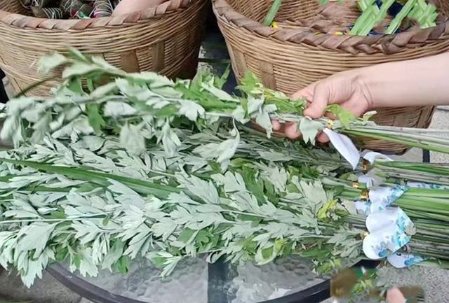 端午挂艾草，传统习俗中的讲究与深意