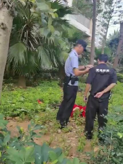 三亚被咬身亡女子死亡记录曝光，深度探究事件真相