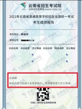 揭秘高考查分被屏蔽背后的含义与影响